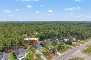 261 Cougar Rd, Southport, NC 28461 - Photo 57