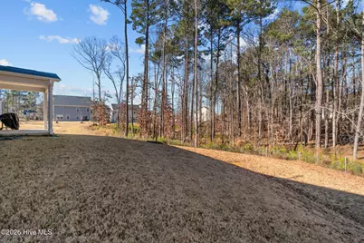 411 Auburndale Court, Sanford, NC 27330 - Photo 39