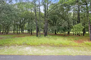 3080 Purple Finch Ln SW, Supply, NC 28462 - Photo 15