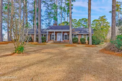 110 Annie Faye Norris Lane, Teachey, NC 28464 - Photo 49