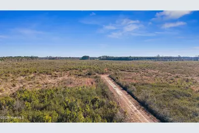 700 Acres Earl Davis Road, Rose Hill, NC 28458 - Photo 5