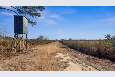 700 Acres Earl Davis Road, Rose Hill, NC 28458 - Photo 17