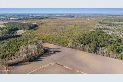 700 Acres Earl Davis Road, Rose Hill, NC 28458 - Photo 31