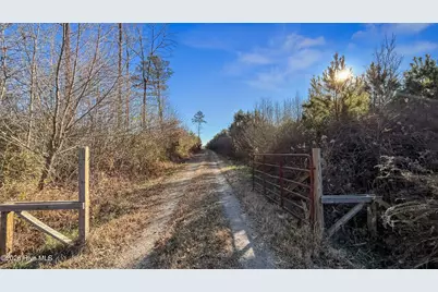 700 Acres Earl Davis Road, Rose Hill, NC 28458 - Photo 3