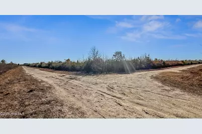 700 Acres Earl Davis Road, Rose Hill, NC 28458 - Photo 15
