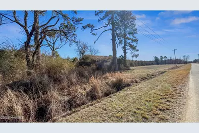 700 Acres Earl Davis Road, Rose Hill, NC 28458 - Photo 19