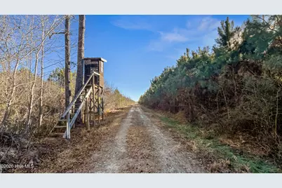 700 Acres Earl Davis Road, Rose Hill, NC 28458 - Photo 13