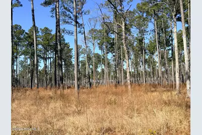 0 Sr 1119 Off, Chocowinity, NC 27817 - Photo 3