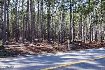 Tbd Nc Hwy 130 Road, Fairmont, NC 28340 - Photo 3