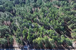 Tbd Nc Hwy 130 Rd, Fairmont, NC 28340 - Photo 1