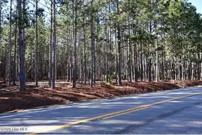 Tbd Nc Hwy 130 Road, Fairmont, NC 28340 - Photo 3