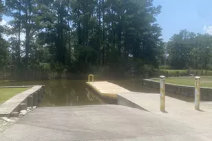 19 Wilkins Rd, Belhaven, NC 27810 - Photo 61