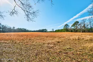 765 George II Hwy SE, Winnabow, NC 28479 - Photo 37