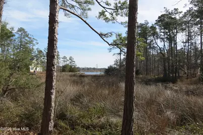 280 Winding Creek Drive, Oriental, NC 28571 - Photo 29