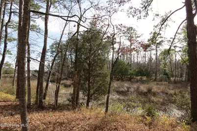 280 Winding Creek Drive, Oriental, NC 28571 - Photo 15