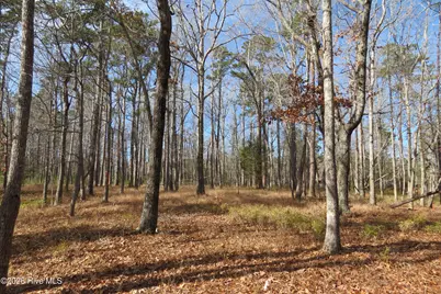 280 Winding Creek Drive, Oriental, NC 28571 - Photo 3