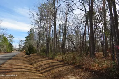 280 Winding Creek Drive, Oriental, NC 28571 - Photo 23