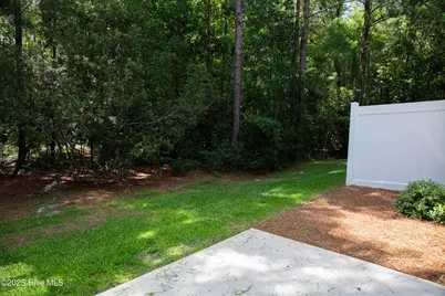 1508 Dove Shell Way, Wilmington, NC 28405 - Photo 19