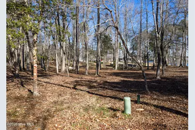 Lot 17 Redd Banks Lane, Hampstead, NC 28443 - Photo 21
