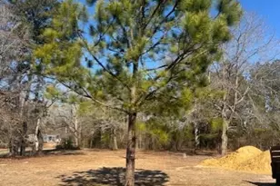 2145 Hines Farm Rd, Jacksonville, NC 28540 - Photo 5