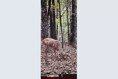 0 64, Lenoir, NC 28633 - Photo 11