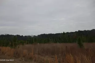 Lot 35 Stuarts Mill Rd, Fairmont, NC 28340 - Photo 1