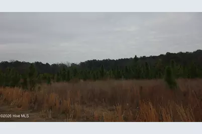 Lot 36 Stuarts Mill Road, Fairmont, NC 28340 - Photo 1