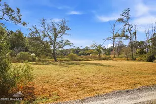 1408 Marsh Cove Ln, Wilmington, NC 28409 - Photo 19