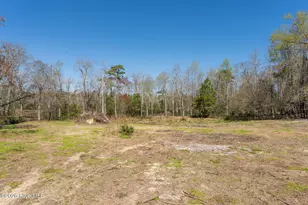 2689 Sloop Point Loop Rd, Hampstead, NC 28443 - Photo 75