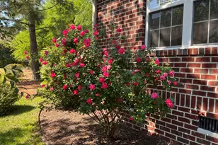 3805 Daphine Dr, Wilmington, NC 28409 - Photo 39