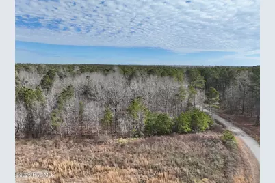 405 Batts Island Road, Edenton, NC 27932 - Photo 39