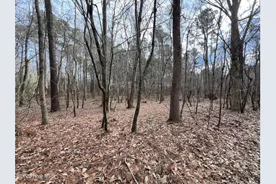 405 Batts Island Road, Edenton, NC 27932 - Photo 7