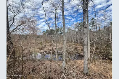 405 Batts Island Road, Edenton, NC 27932 - Photo 27