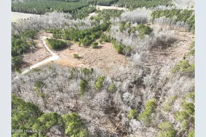 405 Batts Island Road, Edenton, NC 27932 - Photo 3