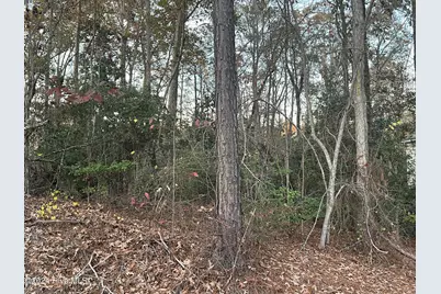 204 Lakeview Drive, Whispering Pines, NC 28327 - Photo 3