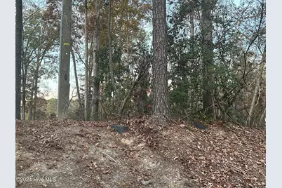 204 Lakeview Drive, Whispering Pines, NC 28327 - Photo 1