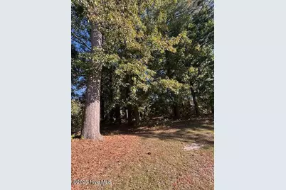 2905 Tacoma Drive, Kinston, NC 28504 - Photo 3