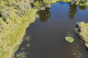 100 Hog Island, New Bern, NC 28560 - Photo 61