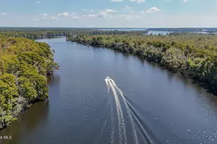 100 Hog Island, New Bern, NC 28560 - Photo 65