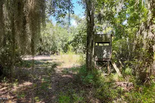 100 Hog Island, New Bern, NC 28560 - Photo 53