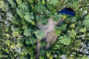 100 Hog Island, New Bern, NC 28560 - Photo 59