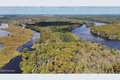 100 Hog Island, New Bern, NC 28560 - Photo 57