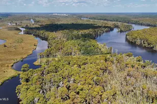 100 Hog Island, New Bern, NC 28560 - Photo 57