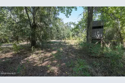 100 Hog Island, New Bern, NC 28560 - Photo 51
