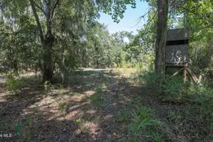 100 Hog Island, New Bern, NC 28560 - Photo 51