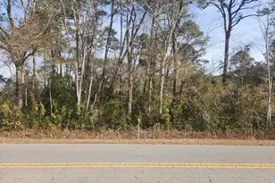 9 Ac Colon Mintz Rd, Leland, NC 28451 - Photo 1