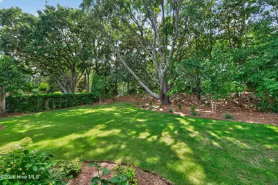 406 Black Diamond Drive, Wilmington, NC 28411 - Photo 43