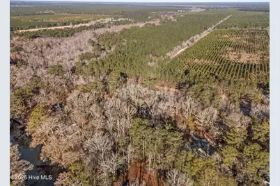 9925 Nc Highway 53 E, Burgaw, NC 28425 - Photo 47