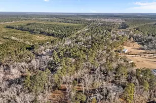 9925 Nc Hwy 53 E, Burgaw, NC 28425 - Photo 49