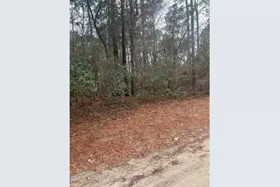 103 Dogwood Lane, Sneads Ferry, NC 28460 - Photo 3
